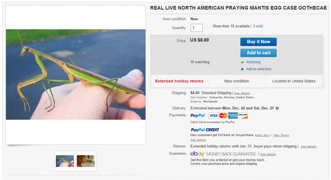 Ebay Mantis